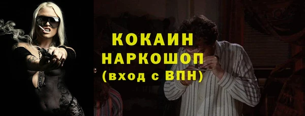 крисы Богородск