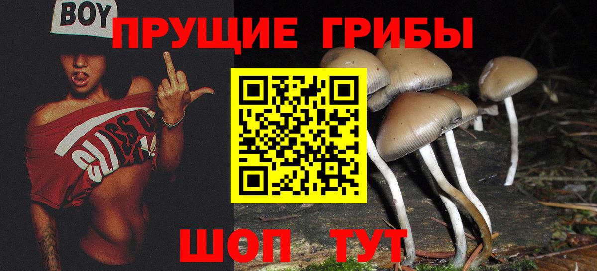 Псилоцибиновые грибы прущие грибы Пыть-Ях