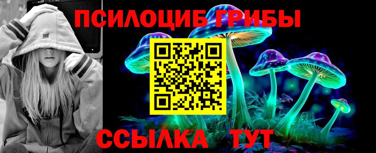 Пыть-Ях  Галлюциногенные грибы GOLDEN TEACHER  Псилоцибиновые грибы MAGIC MUSHROOMS  Вход с VPN 